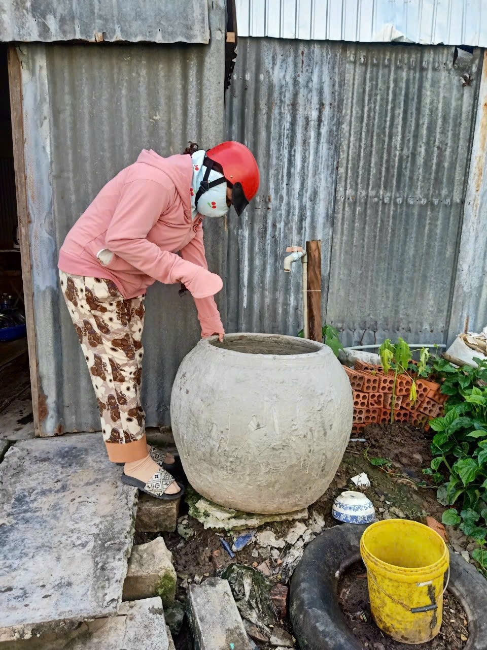 hình ảnh minh họa