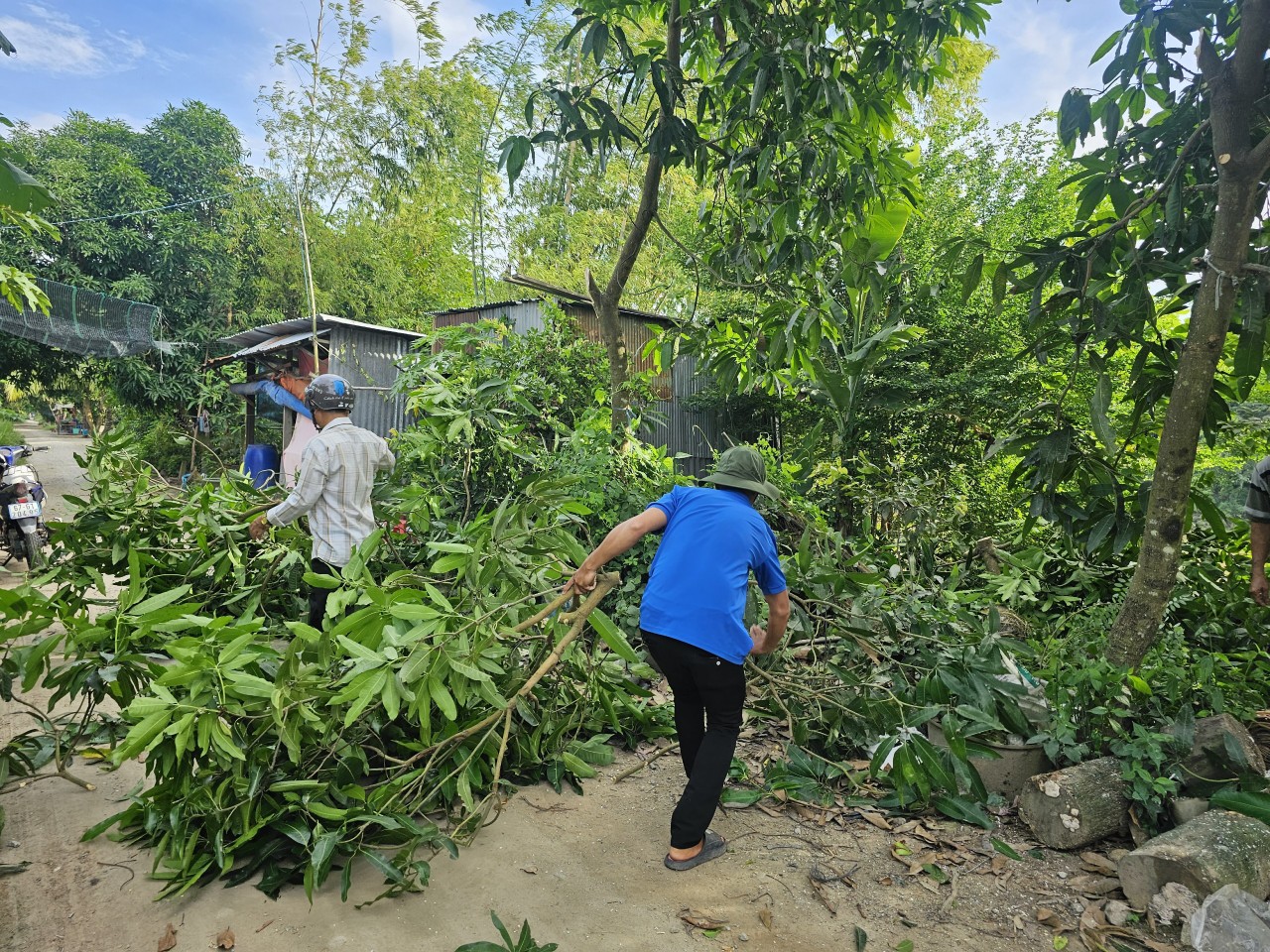 hình ảnh minh họa